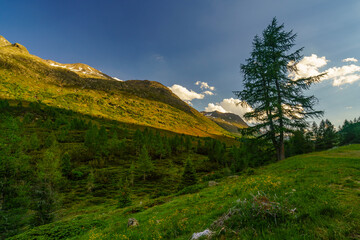 Hochgebirgslandschaft am Staller Sattel bei Sankt Jakob im Defereggental, Osttirol, Tirol, Österreich.