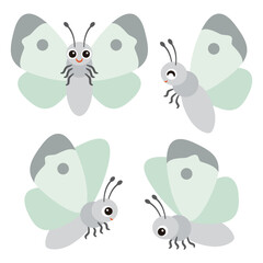 モンシロチョウのセット