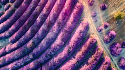 Zelfklevend Fotobehang Lush purple lavender fields at sunset, aerial view. beautiful natural scenery for relaxation and wallpapers. vibrant colors and agricultural beauty combined. AI © Irina Ukrainets