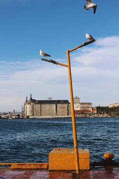 cityscape of seagulls in kadikoy ferry station looking at bosphorus and haydarpasha train station in istanbul turkey