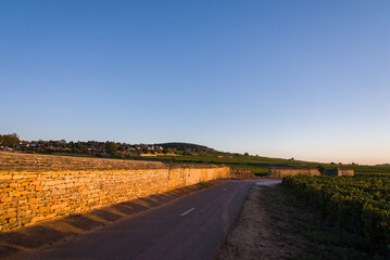 Fototapeta na wymiar Route viticole. Route dans le vignoble de Bourgogne. Route de Meursault. Balade en Côte-d'Or. Lever de soleils un clos de vignes. Mur en pierres de vignoble. Chemin de viticulture.