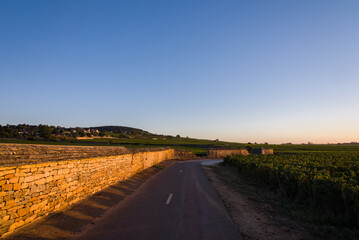 Fototapeta na wymiar Route viticole. Route dans le vignoble de Bourgogne. Route de Meursault. Balade en Côte-d'Or. Lever de soleils un clos de vignes. Mur en pierres de vignoble. Chemin de viticulture.