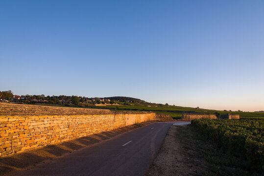 Route viticole. Route dans le vignoble de Bourgogne. Route de Meursault. Balade en Côte-d'Or. Lever de soleils un clos de vignes. Mur en pierres de vignoble. Chemin de viticulture.