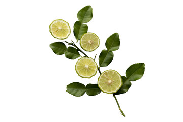 herbal vegetable kaffir lime, lemon slice local of asia arrangement flat lay style - obrazy, fototapety, plakaty