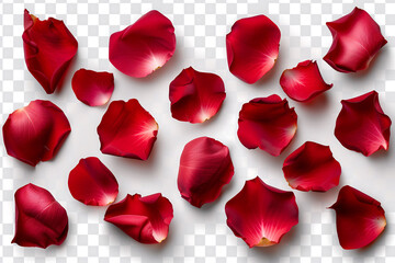 Red rose petals, isolated, generated ai