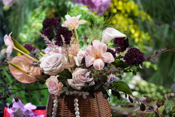 pink hydrangea flowers