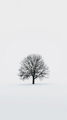 Fototapeta na wymiar Minimalist winter landscape lone tree snowcovered ground