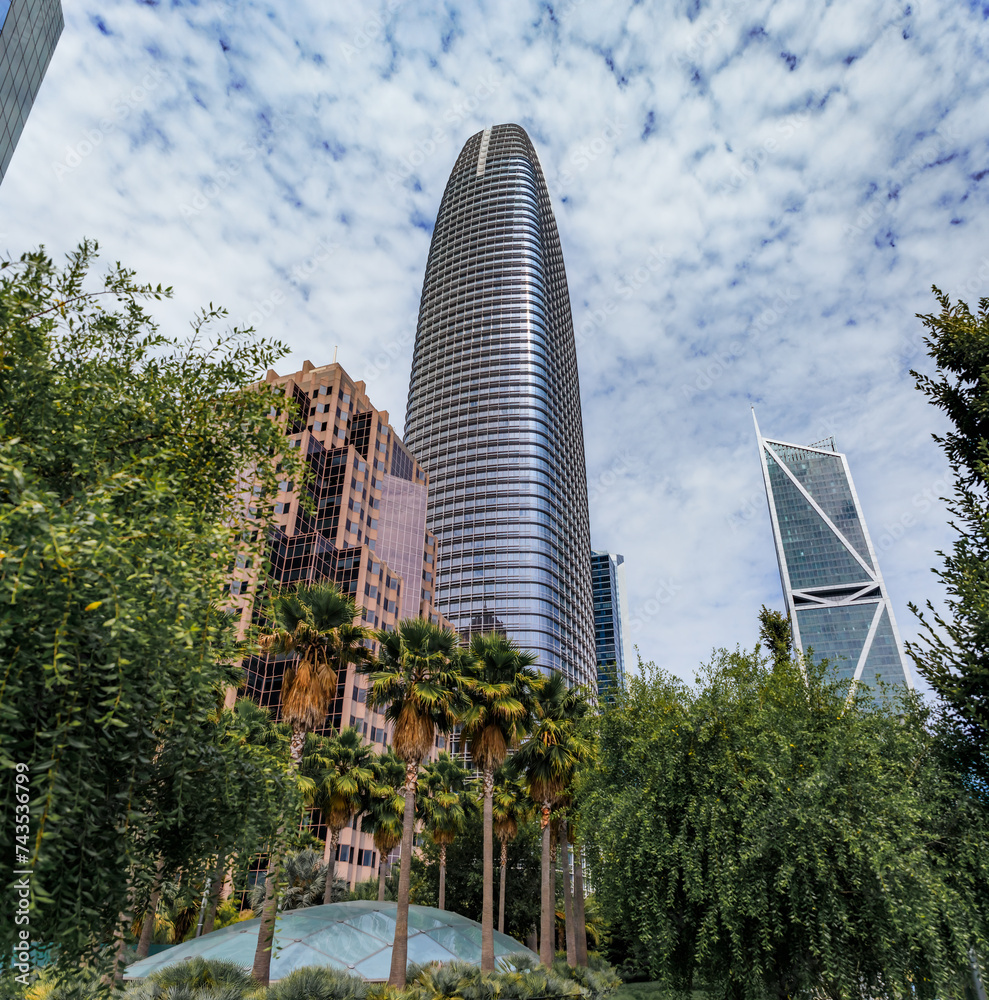 Wall mural View of a downtown skyscrapers with trees in a park in the SOMA neighborhood in San Francisco, California