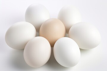 Eggs On White - Fresh and Edible White Chicken Hen Eggs - Perfect Ingredient for a Healthy Diet