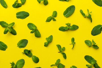 Fresh green mint leaves on white background, Mint leaves pattern Top view with copy space