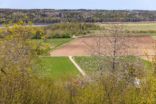 Cultivated land at a budding spring landscape
