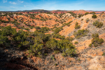 Caprock Canyons State Park, in the eastern edge of the Llano Estacado in Briscoe County, Texas