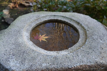 水に浮かぶ紅葉