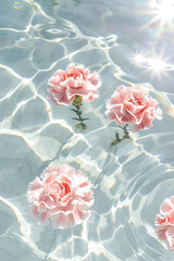 Pastel pink carnation flowers floating in a clear water with sunlight, natural beauty concept, feminine aesthetics