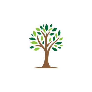 Nature Tree Logo Vector Simple Design