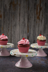 Cupcakes on small ceramic plate with wooden bottom with copy space. Product photo.