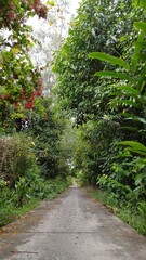 Narrow village street in Mekong Delta Vietnam in spring day.