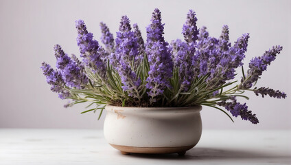 Lavender flowers in a pot on a white wooden table.