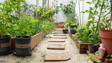 Home backyard garden design, planter box, raised bed, and vegetable.