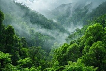 lush rainforest - obrazy, fototapety, plakaty