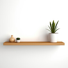 Wooden Shelf With Potted Plant