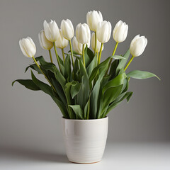 Tulip Flowers in White Pot