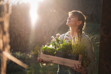 Young happy woman with a box of plants and flowers for seedlings in the garden at sunset. Flower seedlings for the garden, floriculture - 743606713