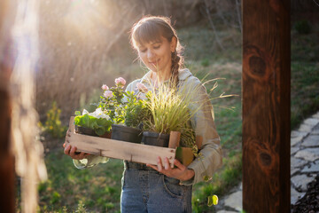Young happy woman with a box of plants and flowers for seedlings in the garden at sunset. Flower seedlings for the garden, floriculture - 743608928