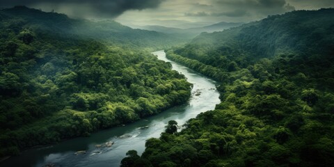 Aerial drone view, the bend of the river with stretches of deep forest - obrazy, fototapety, plakaty