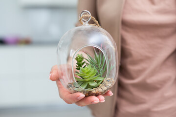 Woman holding glass jar with plant composition inside, closeup