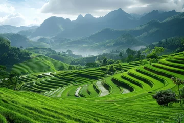 Papier Peint photo Lavable Rizières Rice fields on terraced of Vietnam. Panoramic Vietnam landscapes.