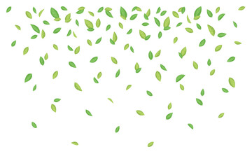 Flying green tea leaves. Vector illustration for cover, banner, poster, card, web and packaging.