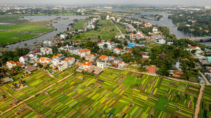 Aerial view of a lush, patchwork rural landscape with agricultural fields and residential buildings, showcasing sustainable development in a tropical region - Powered by Adobe