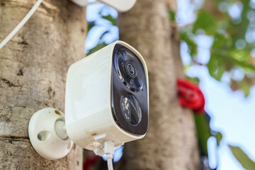 Security IP CCTV camera using solar energy install on the tree for home security system