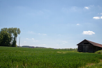 paysage, ciel, gazon, champ, vert, nature, prairie, maison, &eacute;t&eacute;, arbre, bleu, nuage, printemps, nuage, rural, maison, ferme, agricultura, campagne, colline, horizon, terrain, pays, environnement, pelo