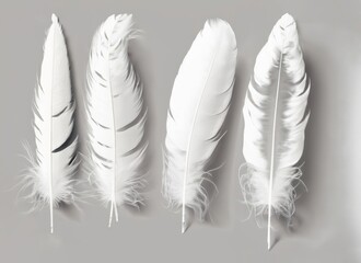 a set of white feathers on a brown background