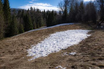 Spring background, the last melting snow on grass field in mountains
