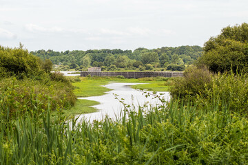 lac, eau, nature, paysage, ciel, fleuve, &eacute;t&eacute;, for&ecirc;t, vert, bleu, arbre, arbre, gazon, nuage, &eacute;tang, printemps, vue, nuage, beau, pittoresque, paysage, &eacute;cologie, soleil