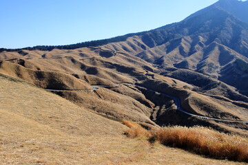 広大な草原と道路