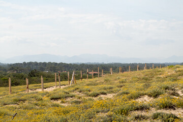 paysage, nature, ciel, route, champ, rural, gazon, campagne, pays, chemin, vignoble, vert, agricultura, colline, &eacute;t&eacute;, ferme, montagne, nuage, cl&ocirc;ture, arbre, for&ecirc;t, bleu, prairie, arbre, vin