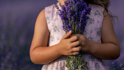 girl lavender field in a pink dress holds a bouquet of lavender on a lilac field. Aromatherapy...