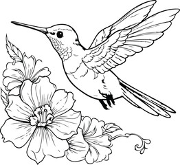 Hummingbird with hibiscus flowers. Vector illustration.