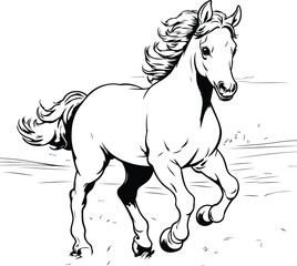 Horse running. sketch vector graphics monochrome illustration on white background