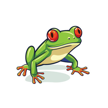 Cartoon green frog isolated on a white background. Vector illustration.
