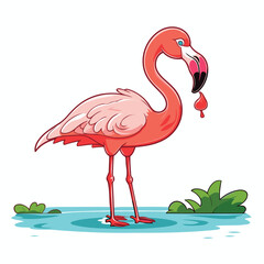 Flamingo vector illustration isolated on white background. Cartoon flamingo
