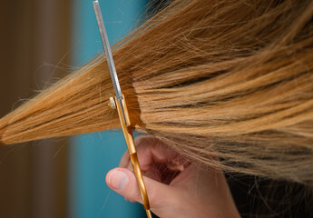 Obcinać nożyczkami fryzjerskimi proste blond włosy z bliska  - obrazy, fototapety, plakaty