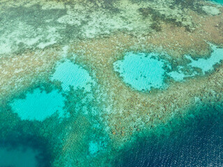 Top view of turquoise water with corals in Coron, Palawan. Philippines.
