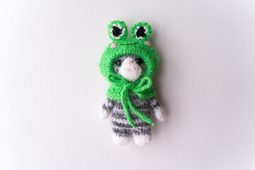 Knitted toy cat with a toad cap on a white background - 743656797