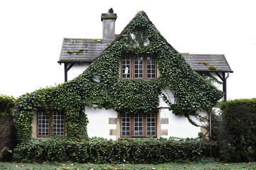 Fototapeta na wymiar Ivy-Covered Cottage with Lush Greenery and Traditional Design - Isolated Transparent Background 