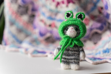 Knitted toy cat with a toad cap on a white background - 743656949
